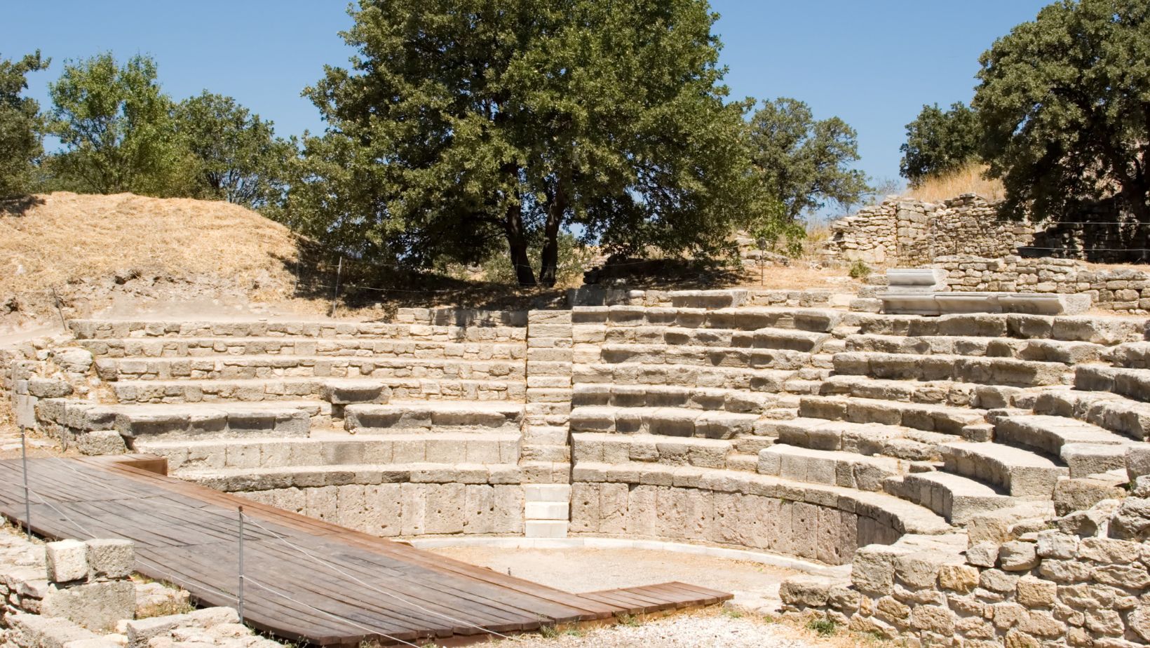 Image2